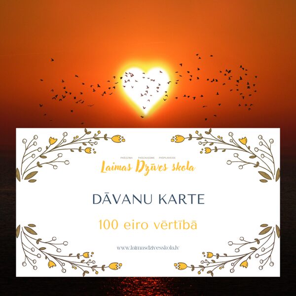 Dāvanu karte 100 eiro vērtībā